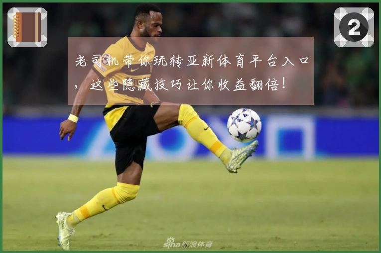 老司机带你玩转亚新体育平台入口，这些隐藏技巧让你收益翻倍！