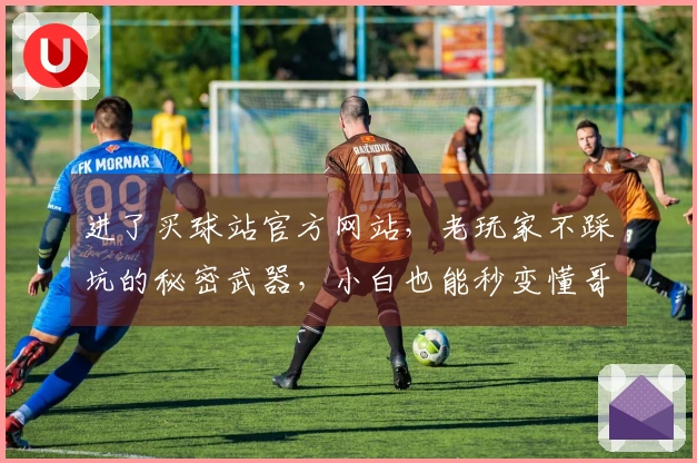 进了买球站官方网站，老玩家不踩坑的秘密武器，小白也能秒变懂哥！