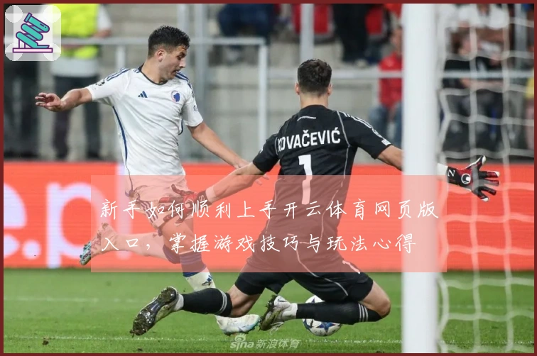 新手如何顺利上手开云体育网页版入口，掌握游戏技巧与玩法心得